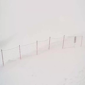 �� 75 �� ������� ������ �������� ������� � ����� ����