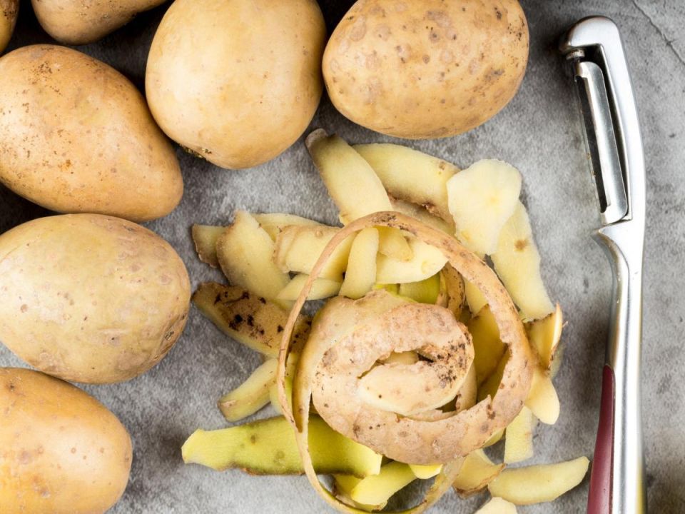 �������� ������������ ������������� ������������ ������� � ����������� �� 2025 ���