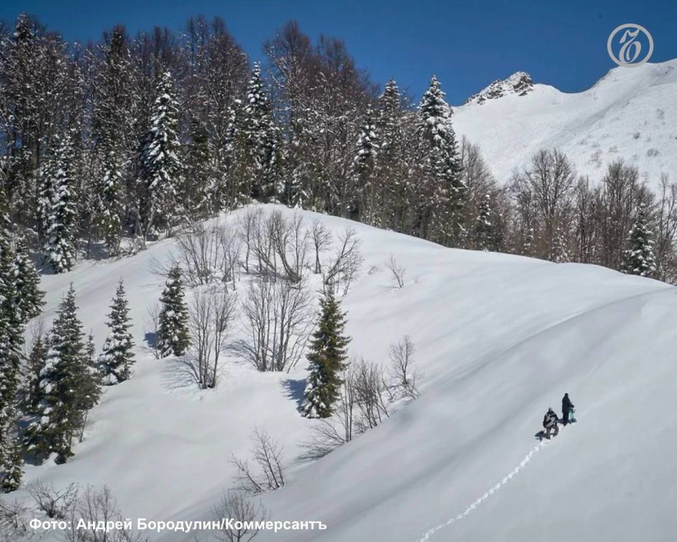 ���������� ����� � ������ �������� ���� ��������� �� 10%