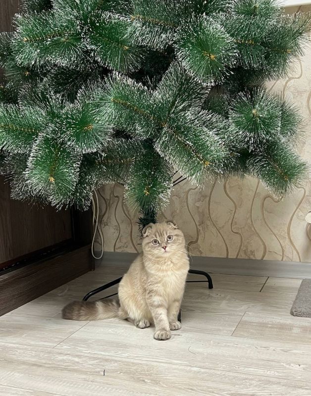 ������ ����, ������!. ��������� -8�+2 ��