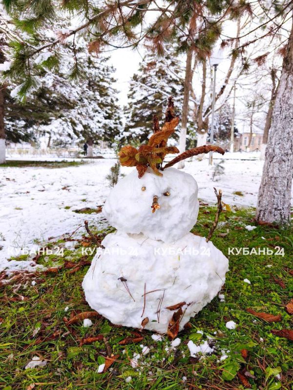 ��� �� ������������ 27 �������: