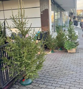 � ���� ��������� ���������� �������� ����������� ������