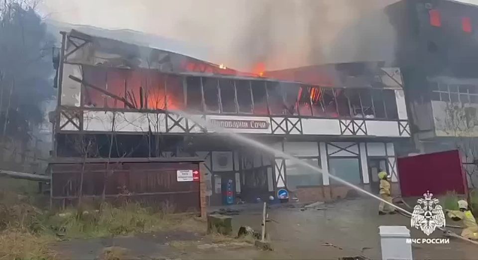 ����� � ���� ��������� ��������