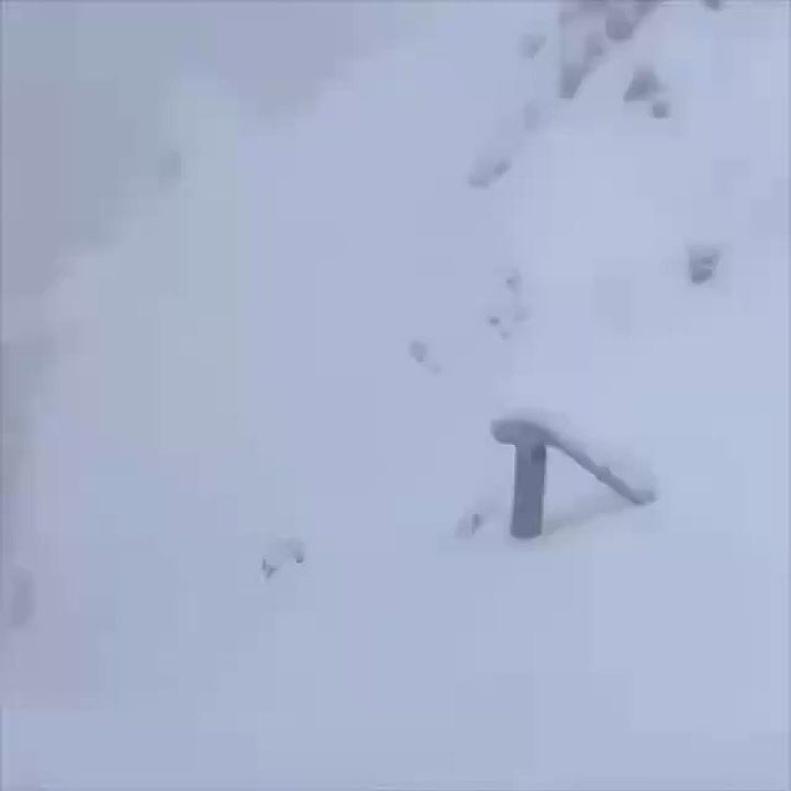 �� ���������, ���� �������� ������� ������ � ����� ����