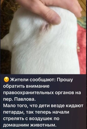 � ���� ������� ������ �������� ����� ����� ������� �������