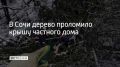30 декабря на улице Береговой в Сочи дерево упало на частный дом и проломило крышу насквозь
