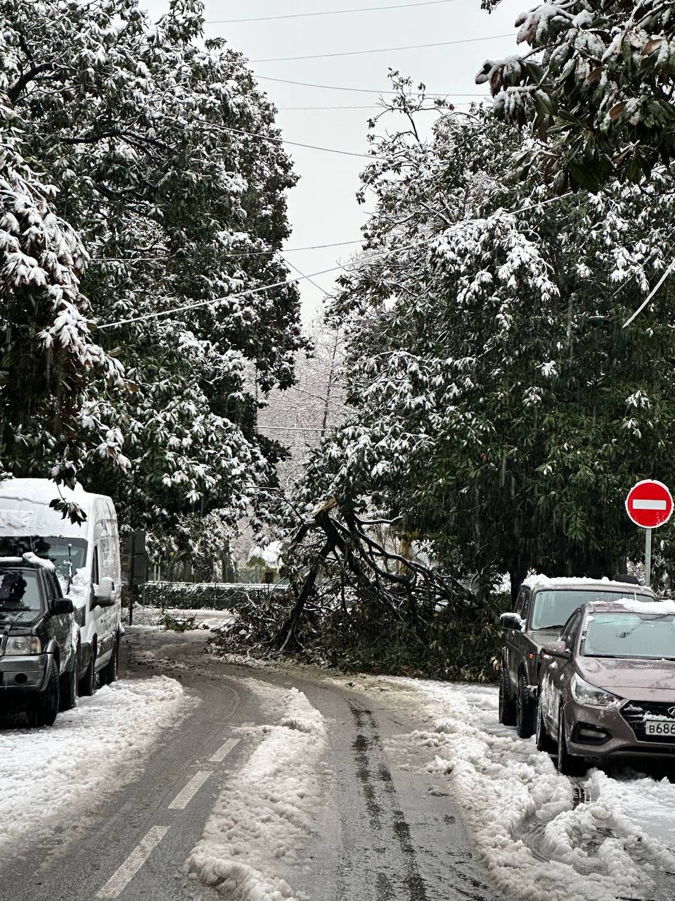 Вы хотели снега? Ну вот он — Сочи выкрутил «Jingle Bells» на максимум Вы хотели снега? Ну вот он — Сочи выкрутил «Jingle Bells» на максимум
