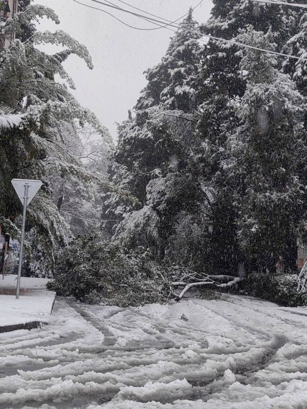 �� ������ �����? �� ��� �� � ���� �������� �Jingle Bells� �� ��������