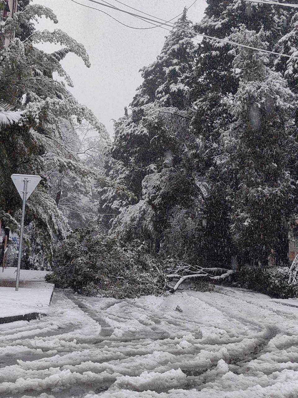 Вы хотели снега? Ну вот он — Сочи выкрутил «Jingle Bells» на максимум