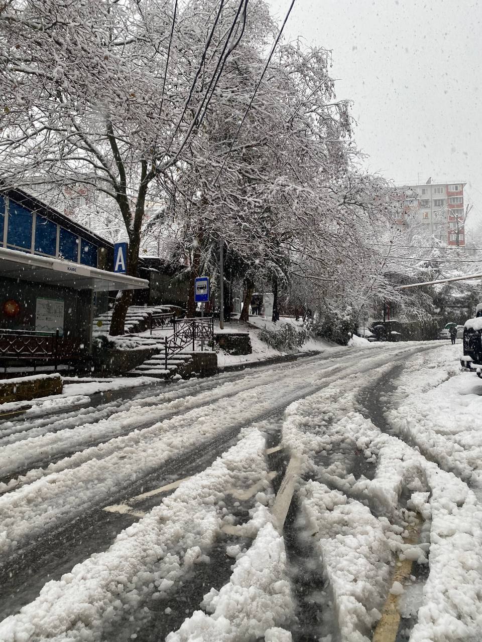 Вы хотели снега? Ну вот он — Сочи выкрутил «Jingle Bells» на максимум Вы хотели снега? Ну вот он — Сочи выкрутил «Jingle Bells» на максимум