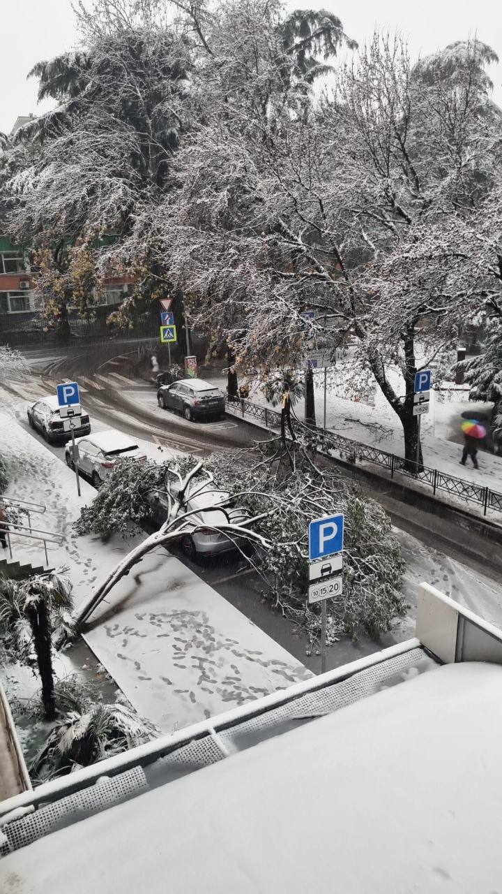 Вы хотели снега? Ну вот он — Сочи выкрутил «Jingle Bells» на максимум Вы хотели снега? Ну вот он — Сочи выкрутил «Jingle Bells» на максимум