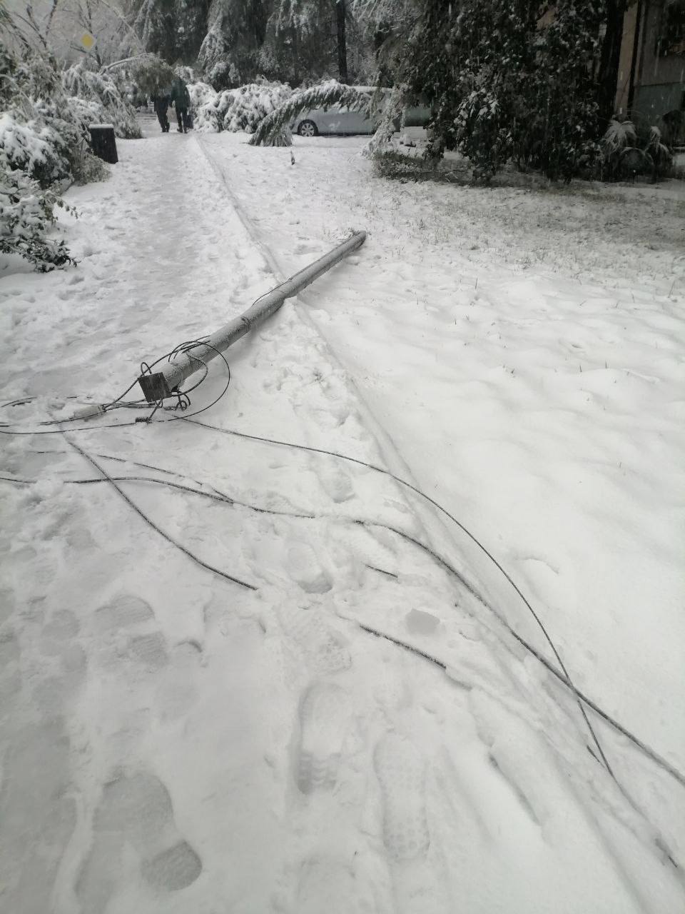 Вы хотели снега? Ну вот он — Сочи выкрутил «Jingle Bells» на максимум Вы хотели снега? Ну вот он — Сочи выкрутил «Jingle Bells» на максимум