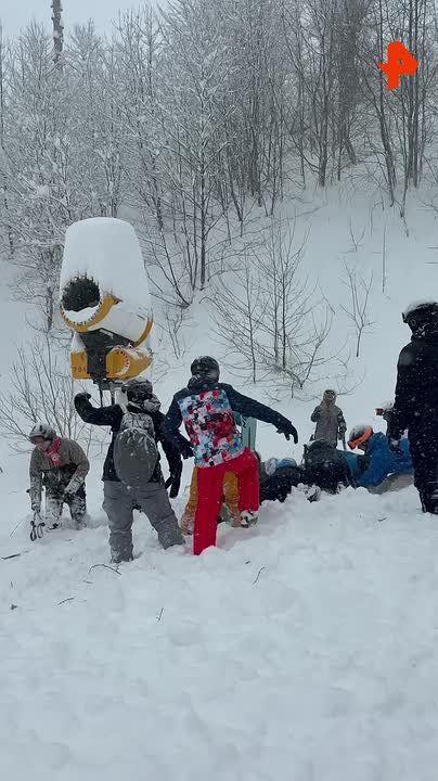 �������, ������������� � ���� ��������� ����� �� ����������� ������� � ����, ���������� � ��������