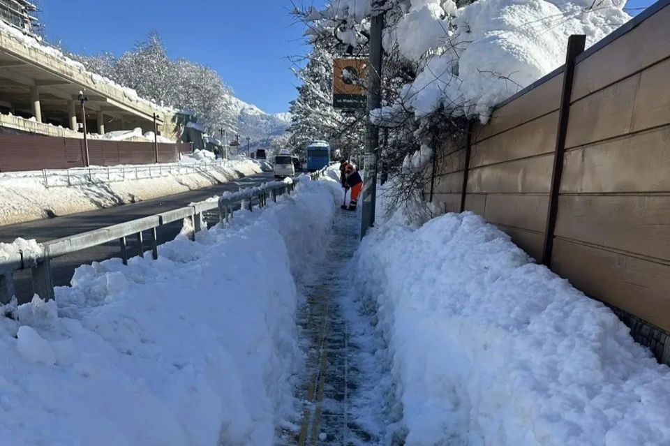 � ���� ������������� �������� ����������� ��������, ������� ����� ������ ������ ��������