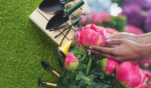 ������ ����� �� ������ ����� ������: ����������� ������ ��� ���������