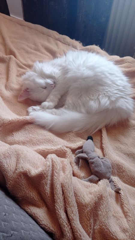 � ������ �� 3 ������ . � ������������� ���� ���������� ����������