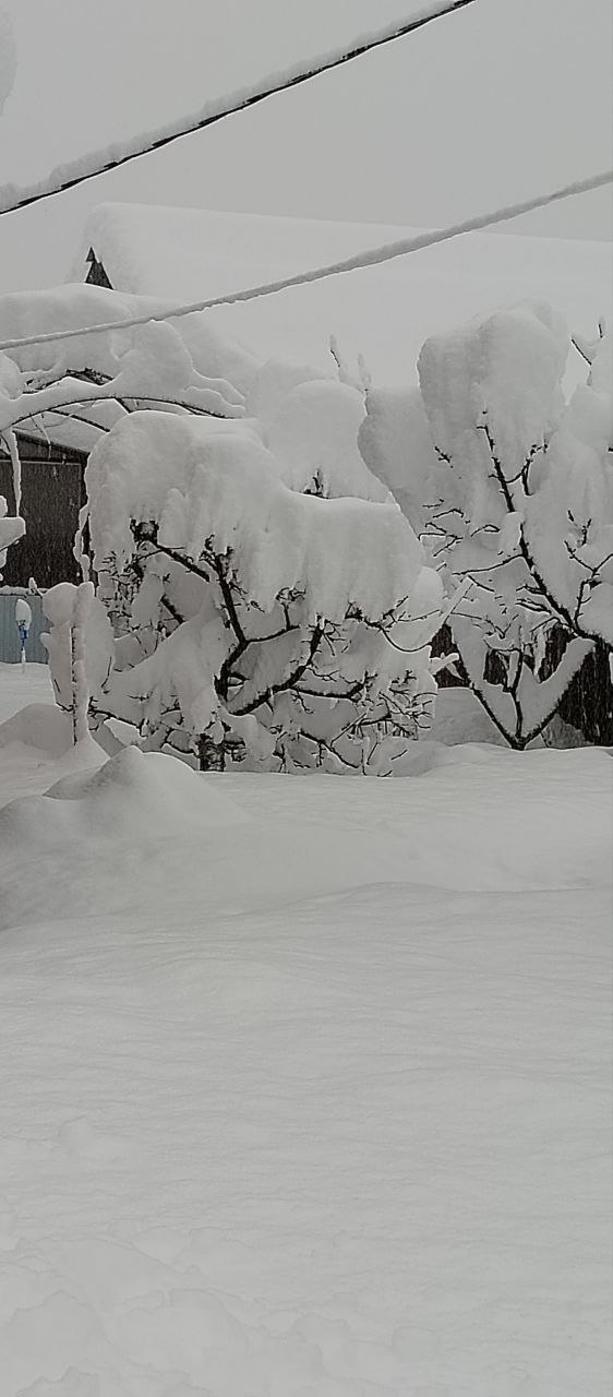 О погоде на 3 января . В Краснодарском крае переменная облачность О погоде на 3 января . В Краснодарском крае переменная облачность