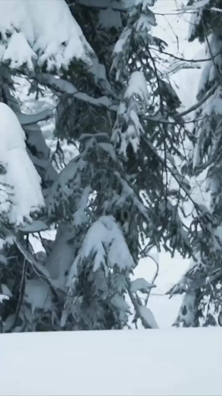 ��� ����� - ���������!. ����� ������� ���������� - ����� ����� � ����! ������ ������, ����� � ���� � ���������� ���������� �� ���������