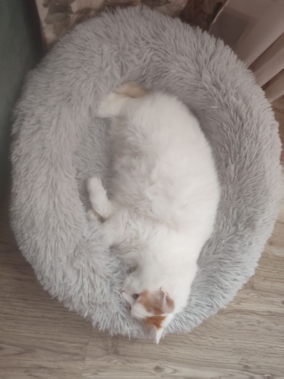 О погоде на 3 января . В Краснодарском крае переменная облачность О погоде на 3 января . В Краснодарском крае переменная облачность