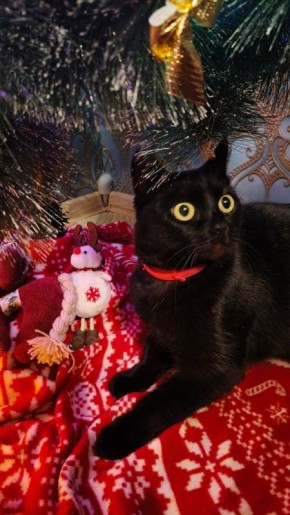 ������ ����, ������!. ��������� +10 ��