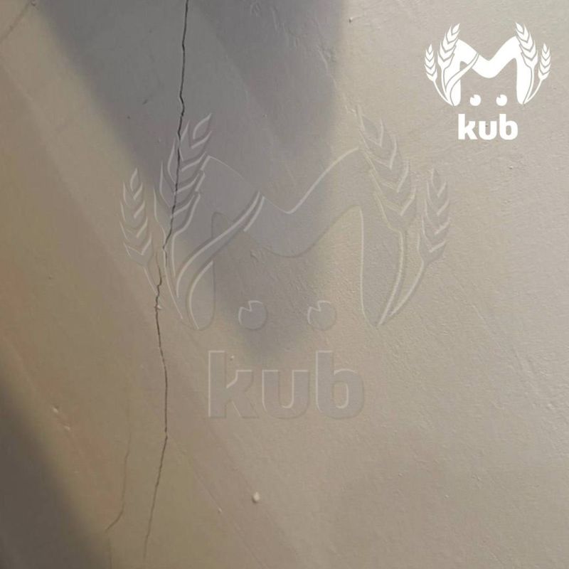 ������������� ���������� ������ ����� ��������� � ����