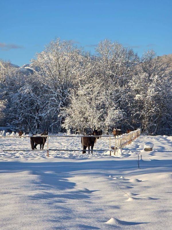 � ������ �� 4 ������ . � ������������� ���� ���������� ����������, �����