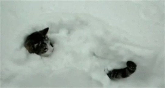 ������ ����� ����� �� ��� ��� ���������� � ����� ����