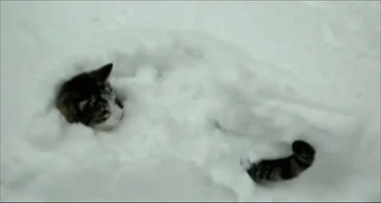 Угроза схода лавин до сих пор существует в горах Сочи