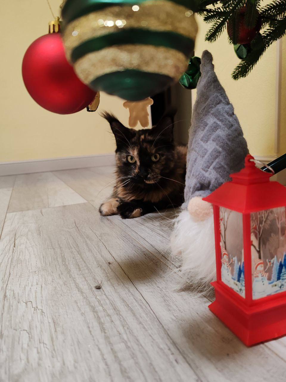 Доброе утро, Кубань!. Краснодар +10 °С Доброе утро, Кубань!. Краснодар +10 °С