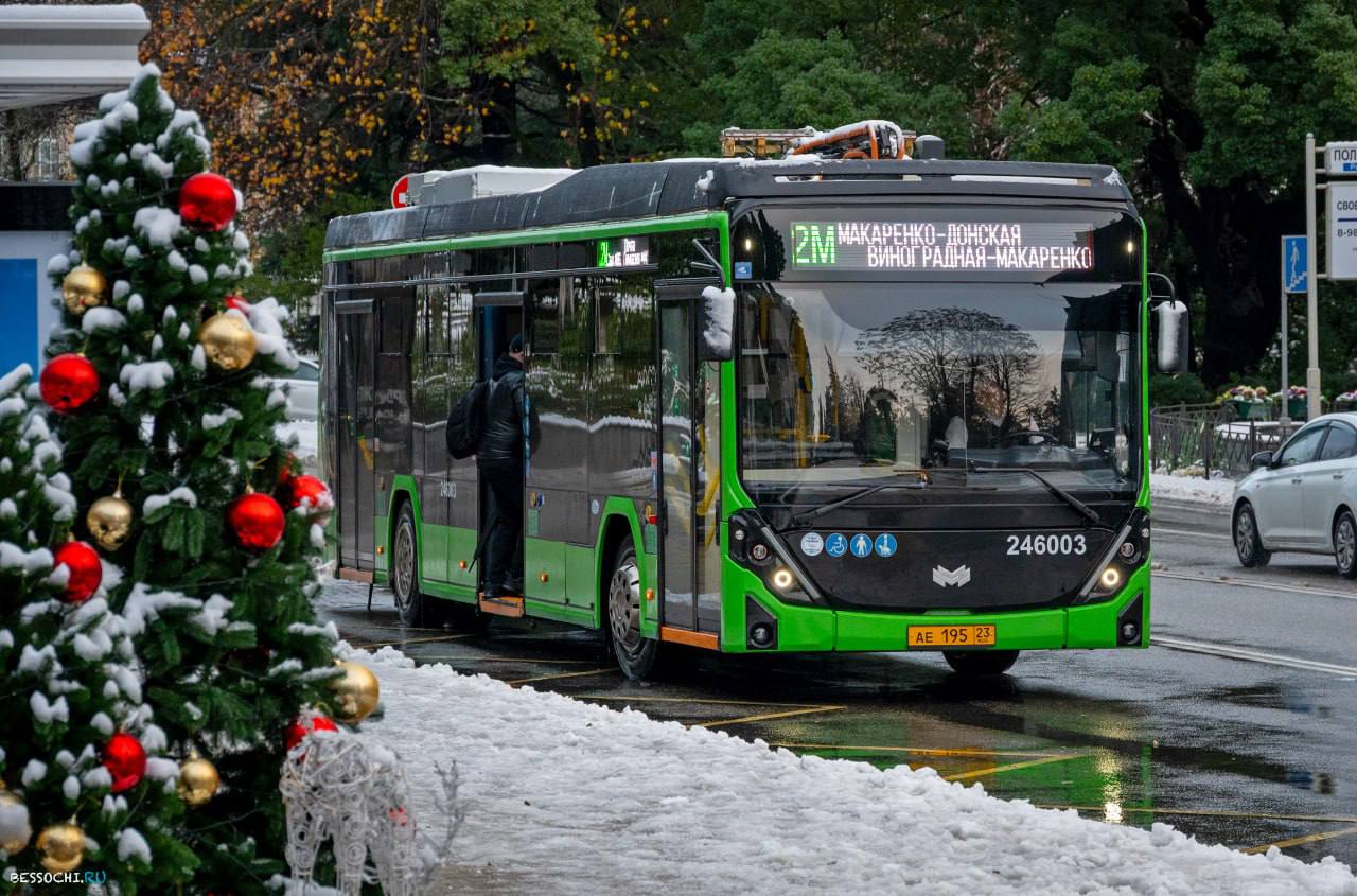 В Рождество дневные богослужения проведут во всех 37 храмах Сочи