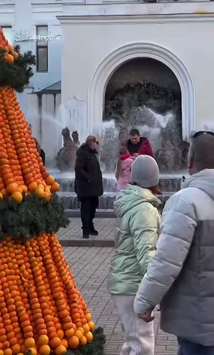 Самая ароматная ёлка Нового года