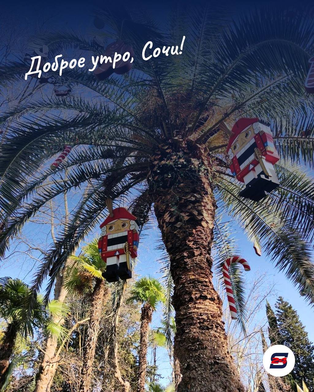 Доброе утро!. Пусть этот год начнётся с хороших мыслей, спокойствия в душе и веры в лучшее, а каждый день приносит радость