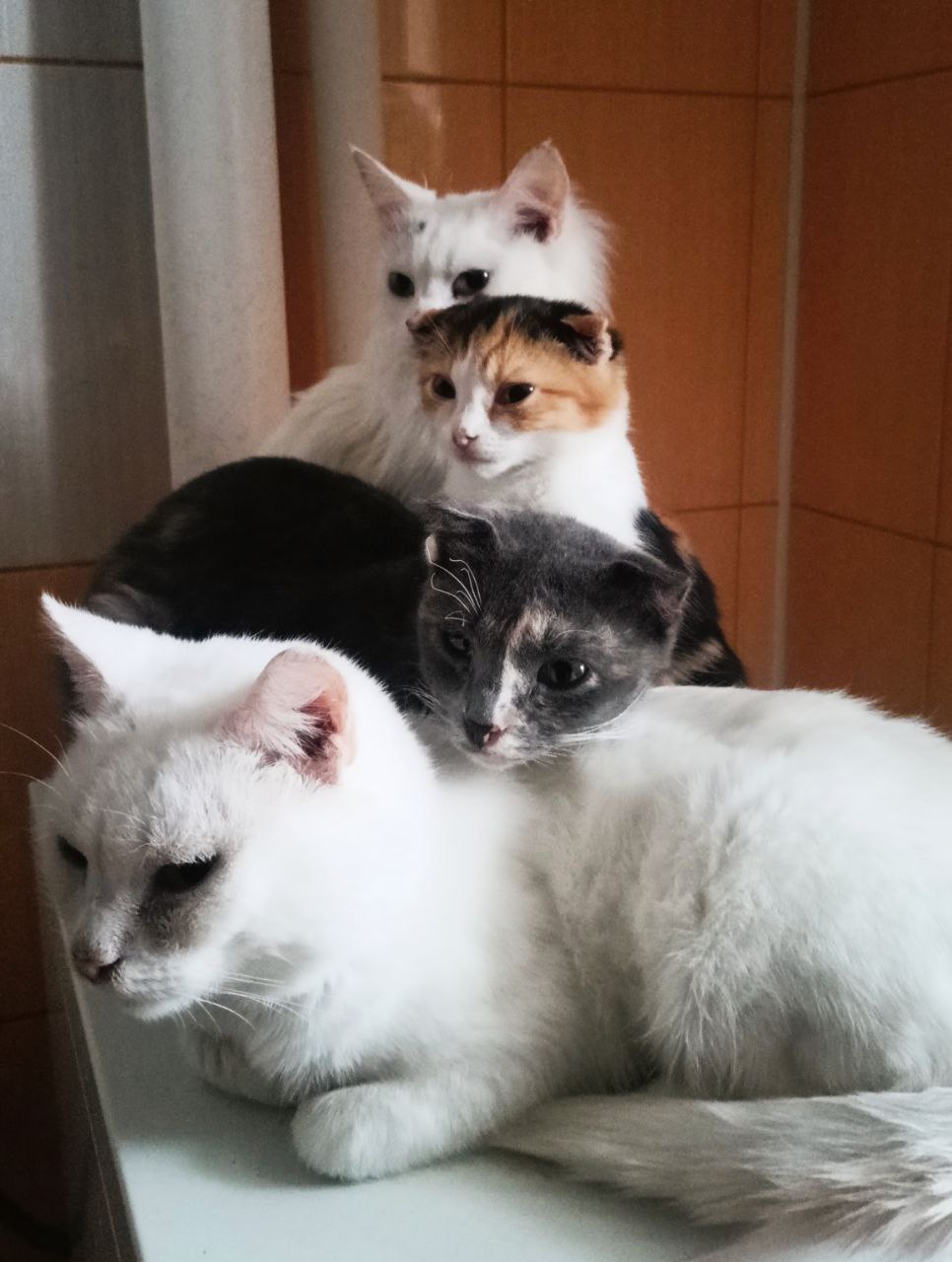 Доброе утро, Кубань!. Краснодар +8°С Доброе утро, Кубань!. Краснодар +8°С