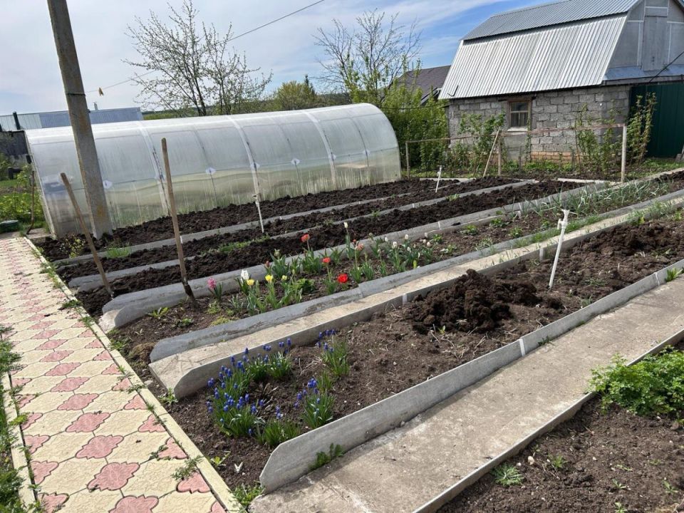 ������� ������: ��� ���������� �������� ������� ��� ������ ������