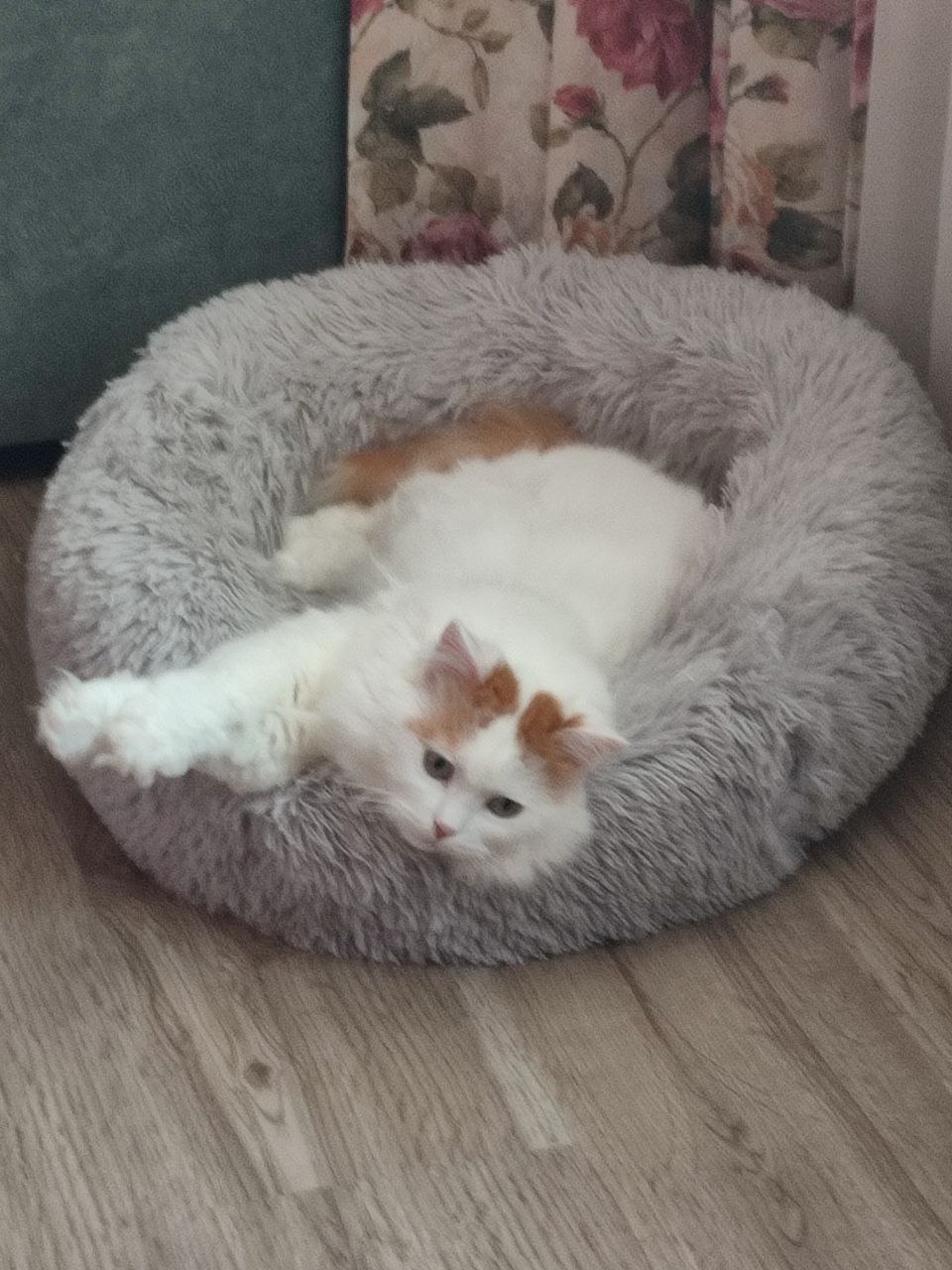 Доброе утро, Кубань!. Краснодар +8°С Доброе утро, Кубань!. Краснодар +8°С