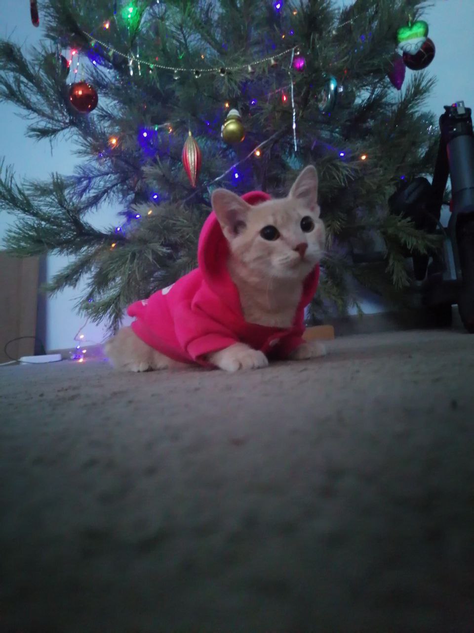 О погоде на 6 января . В Краснодарском крае переменная облачность О погоде на 6 января . В Краснодарском крае переменная облачность