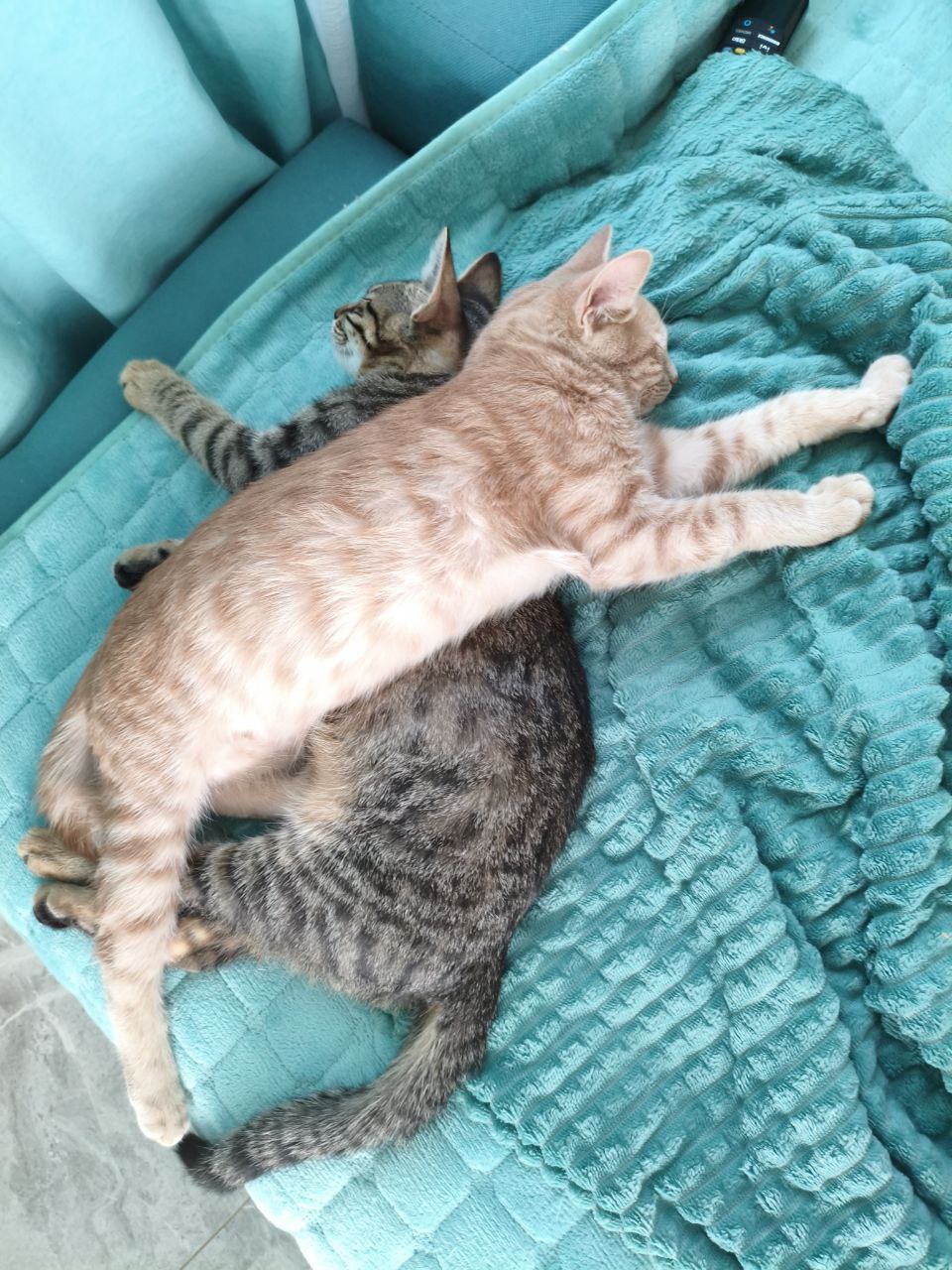 Доброе утро, Кубань!. Краснодар +8°С Доброе утро, Кубань!. Краснодар +8°С