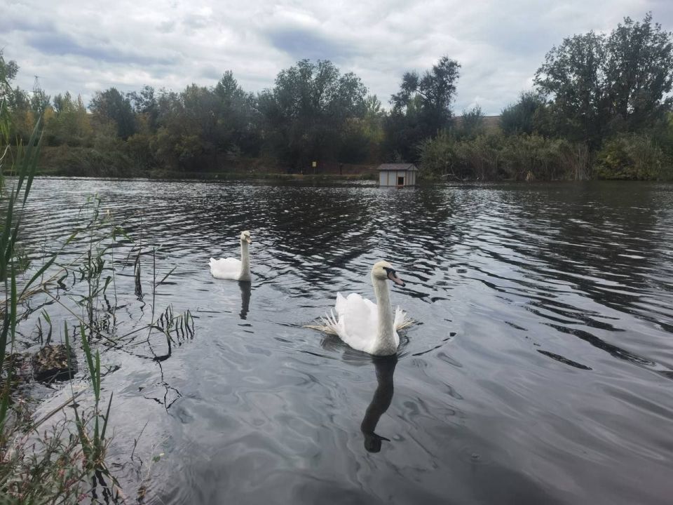 ��� �� ������������ 6 ������: