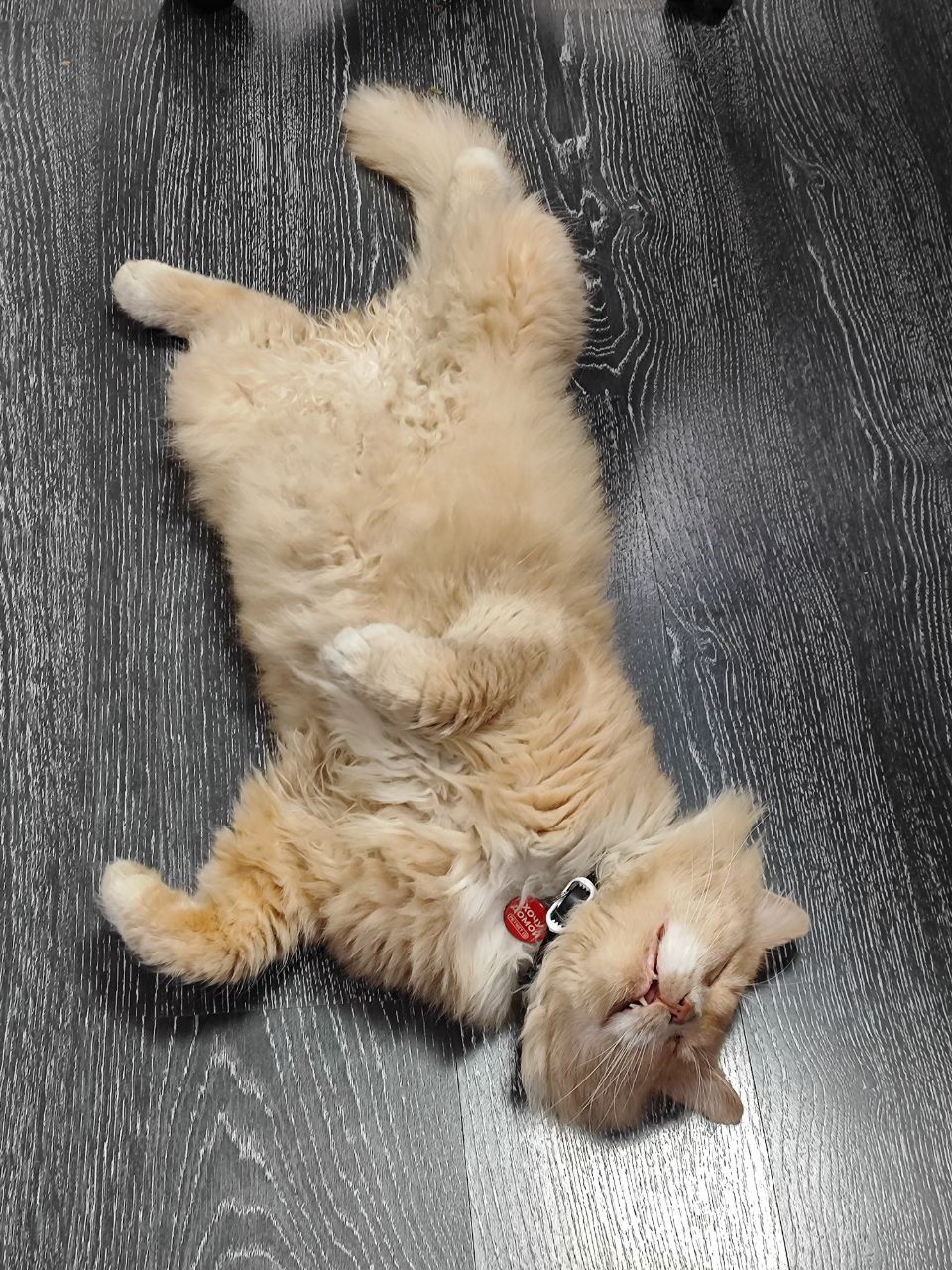 Доброе утро, Кубань!. Краснодар +8°С Доброе утро, Кубань!. Краснодар +8°С