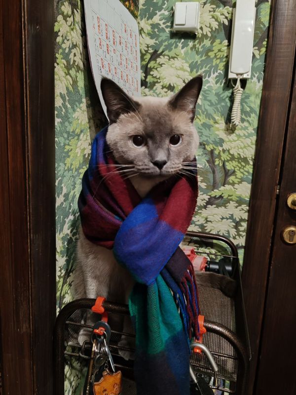 ������ ����, ������!. ��������� +8��