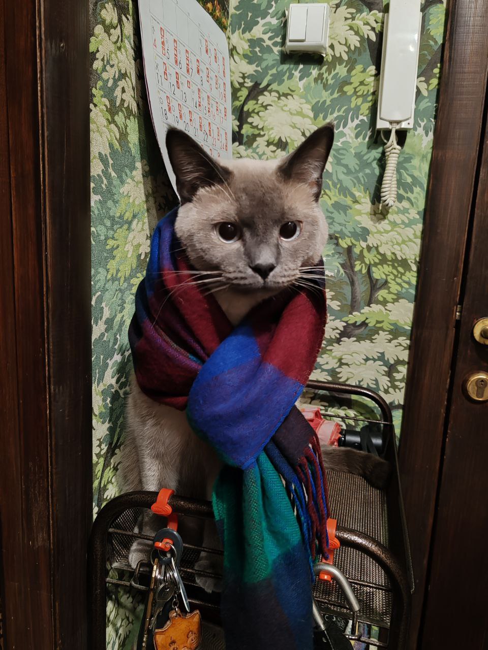 Доброе утро, Кубань!. Краснодар +8°С