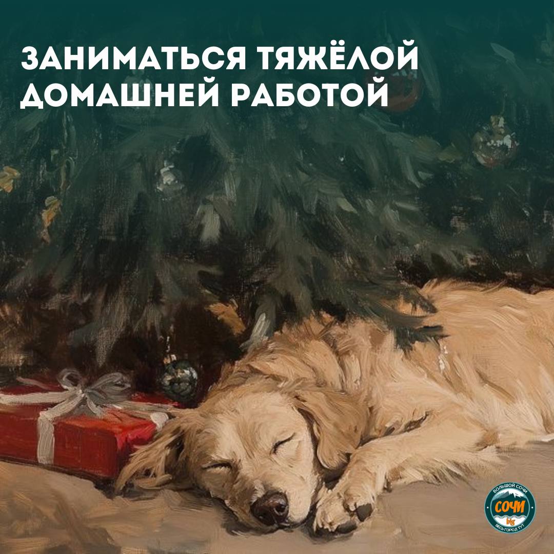 С Рождеством Христовым!. Сегодня особенный день тишины, света и надежды С Рождеством Христовым!. Сегодня особенный день тишины, света и надежды