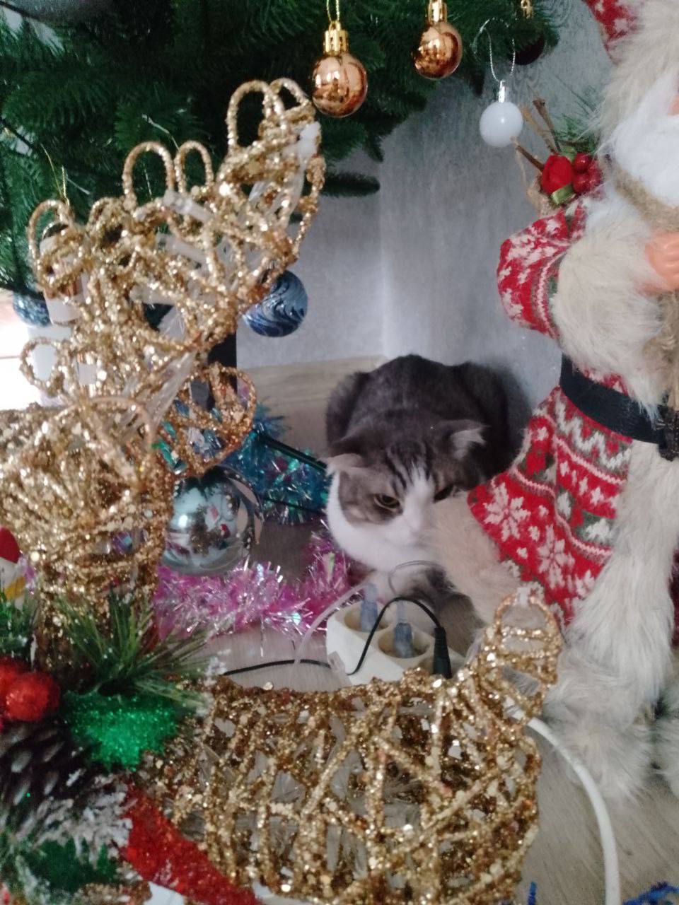 Доброе утро, Кубань!. Краснодар +11°С Доброе утро, Кубань!. Краснодар +11°С