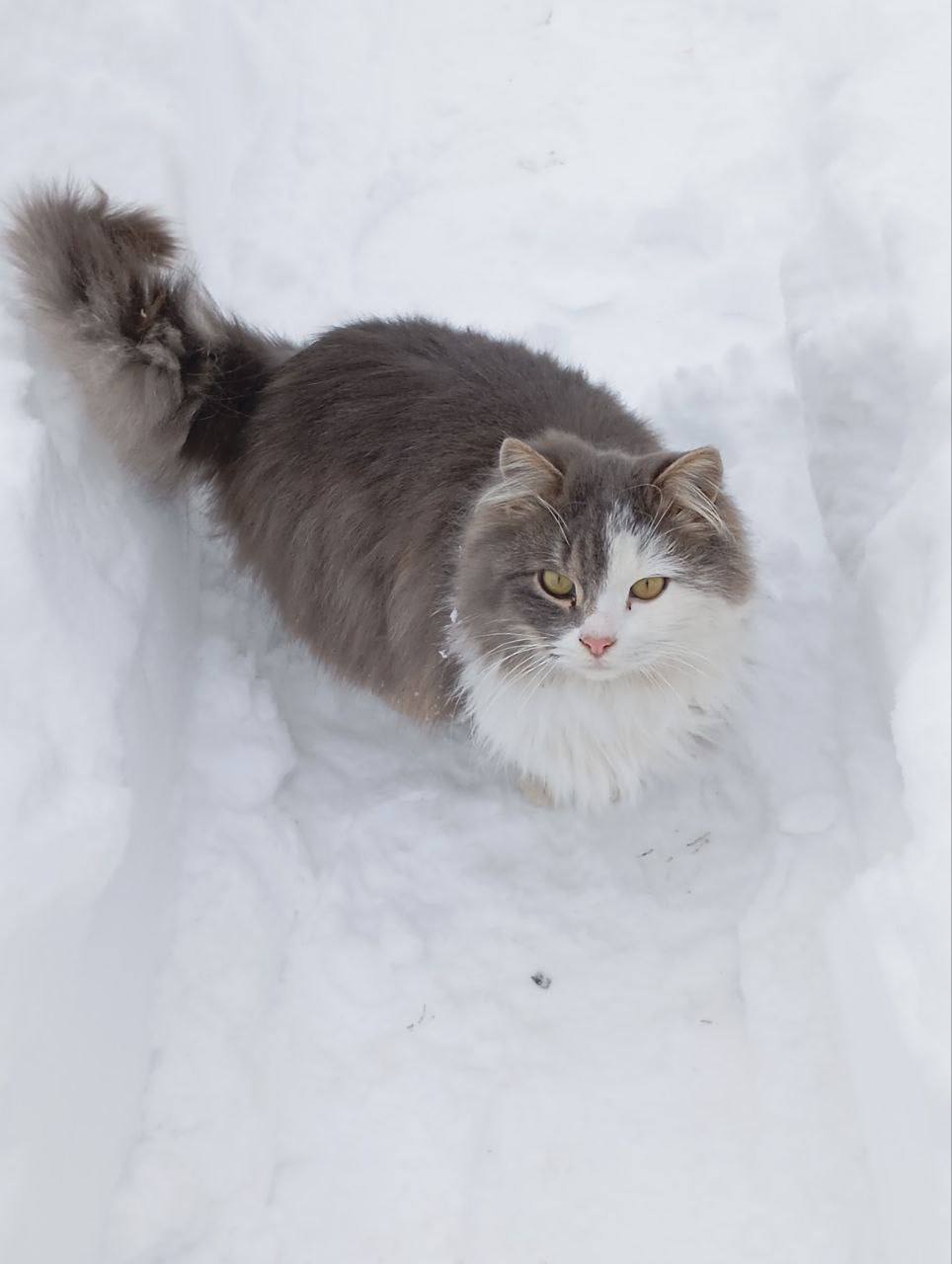 О погоде на 7 января. В Краснодарском крае переменная облачность О погоде на 7 января. В Краснодарском крае переменная облачность