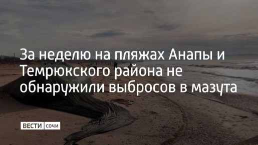 На побережье Анапы и Темрюкского района за первую неделю 2026 года выбросов нефтепродуктов не зафиксировано
