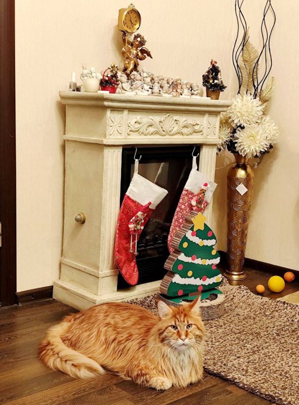 ������ ����, ������!. ��������� +11��