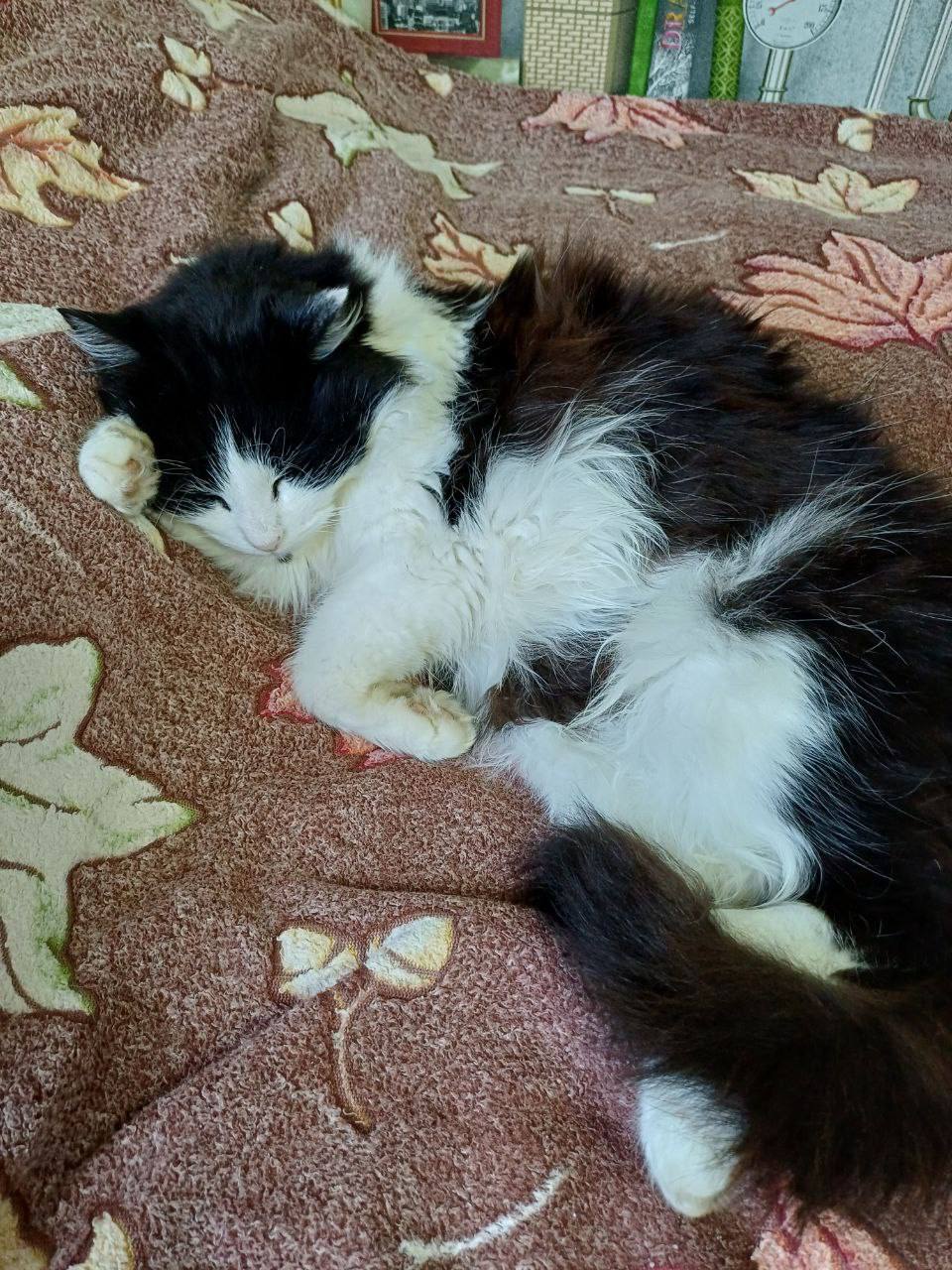 Доброе утро, Кубань!. Краснодар +11°С Доброе утро, Кубань!. Краснодар +11°С