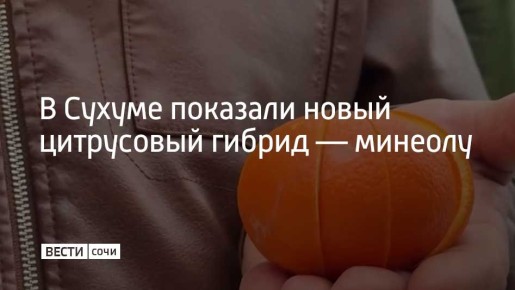 �� ��������� ��������� ��������� � ������ ��� ����������� ����� ���� ���������� � ��������� �������