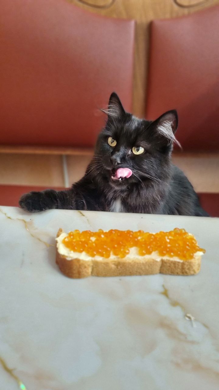 Доброе утро, Кубань!. Краснодар +4…+16 °С Доброе утро, Кубань!. Краснодар +4…+16 °С