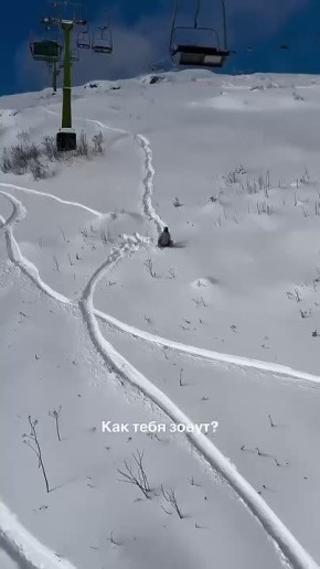 Канатки и трассы в горах Сочи закрыли из-за лавинной опасности